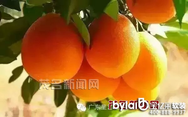 ˇbs@2015ЇҾӮaI(y)㪄ٴ@Ʒ